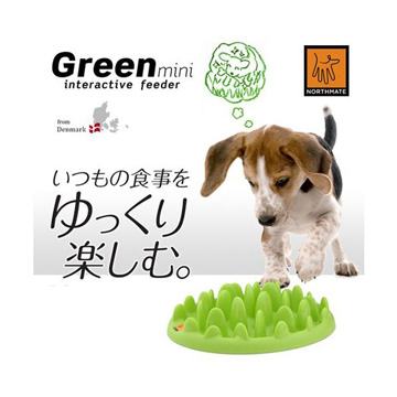 今月のプレゼント グリーンミントインタラクティブフィーダー